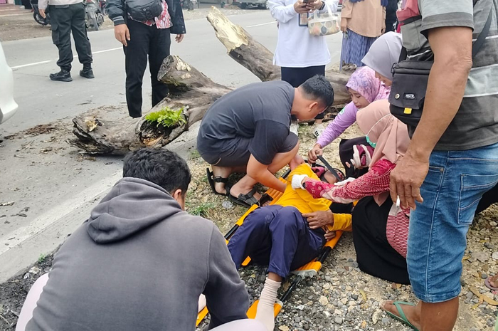 BELUM DIEVAKUASI: Pengendara sepeda motor yang terjatuh akibat pohon roboh di Jalan Purwodadi-Solo tepatnya di Desa Depok Kecamatan Toroh.