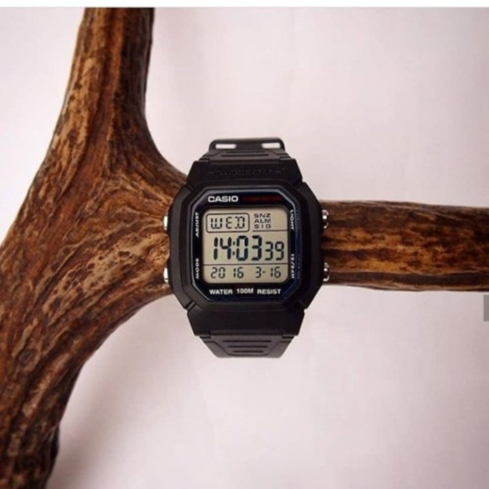 Casio Standard