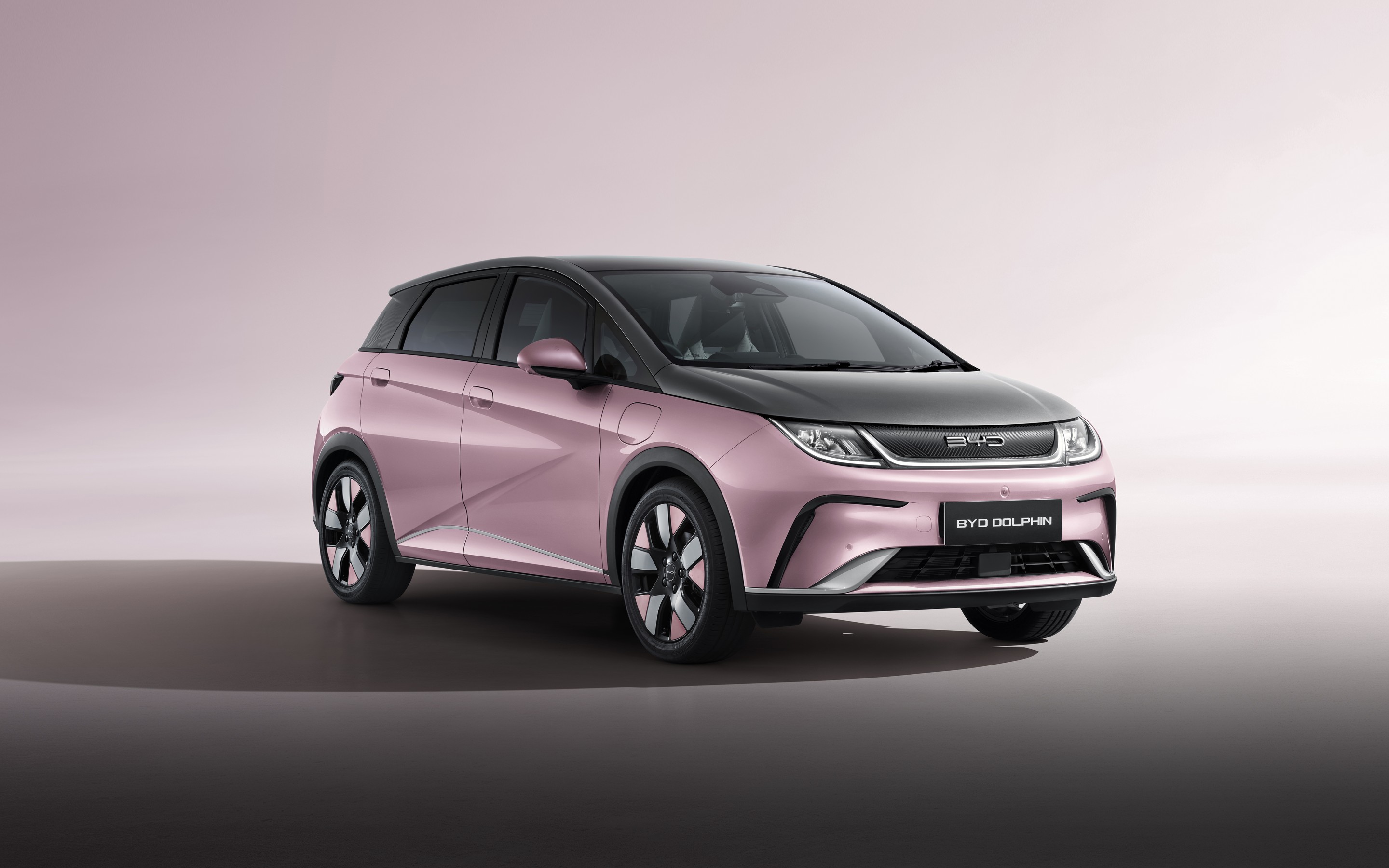 BYD Dolphin (www.byd.com)