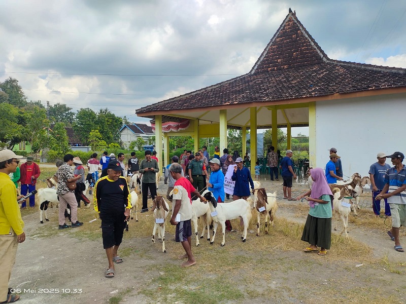 DISERAHKAN: Penyerahan kambing kegiatan ketahanan ppangan 2025 oleh BUMDes Mitra Barokah, Desa Sumbangrejo, kemarin.