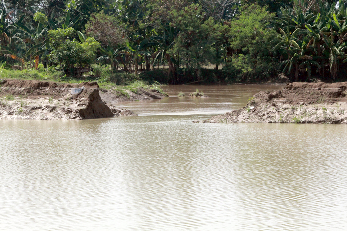 JEBOL: Tanggul Kisdam sungai Tuntang di Desa Sumberagung, Kecamatan Gubug jebol pada Minggu lalu dan kini air sudah mulai surut.