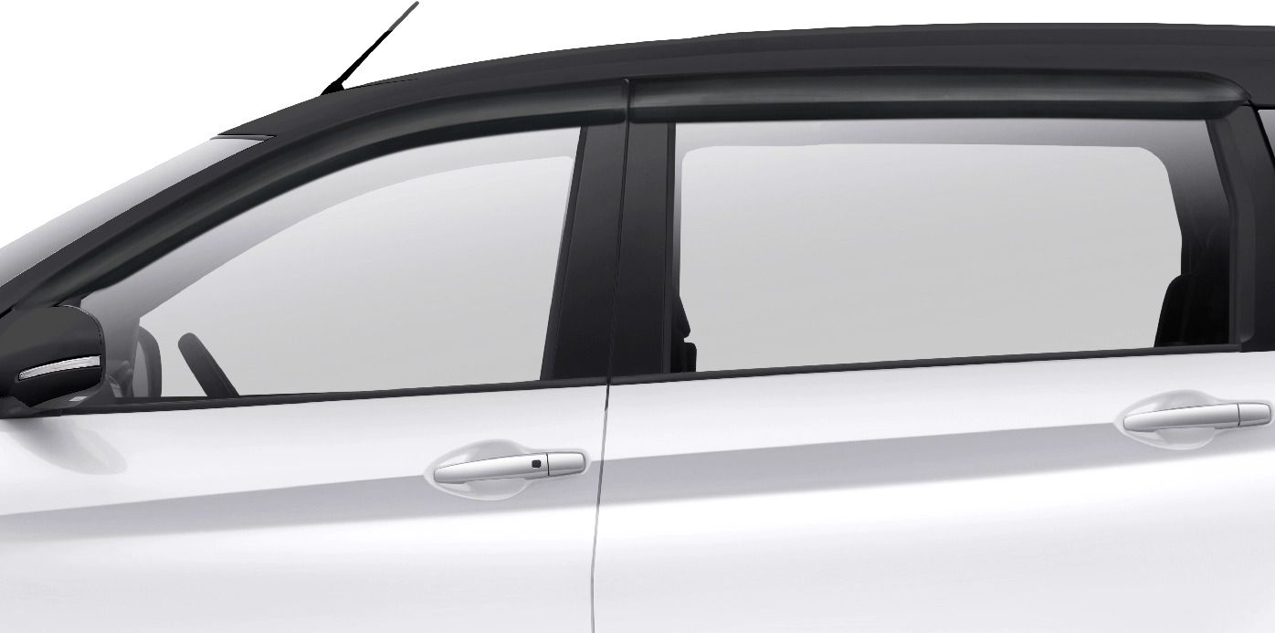 Door Visor