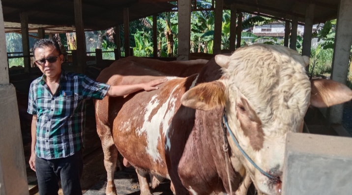 INI SI BULKI : Nur Hasan, pemilik peternakan sarwan di Sedan Rembang berfoto bersama sapi yang dipilih sebagai hewan kurban presiden.