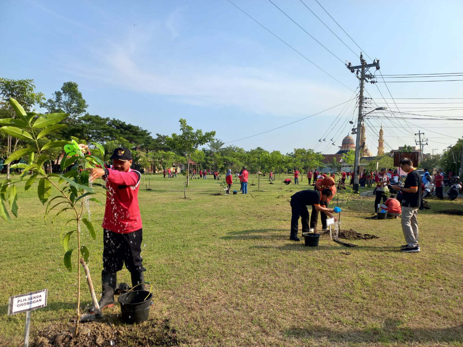 PEDULI LINGKUNGAN: DLH Grobogan saat melakukan penanaman pohon serempak di Taman Lansia Purwodadi.