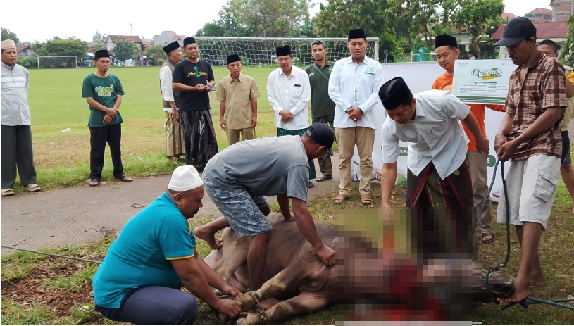 NU Kudus melaksanakan kurban di halaman kantor setempat, Senin (9/6).