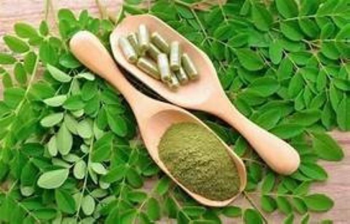 Suplemen Daun Kelor
