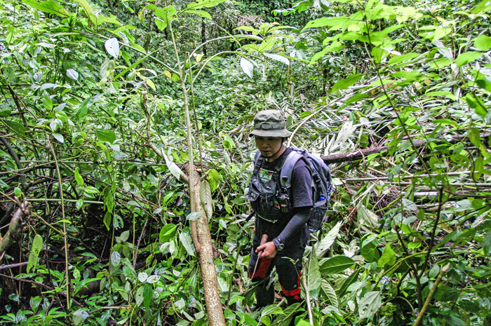 MERAWAT HUTAN: Aktivis lingkungan Pegunungan Muria membuka jalur menuju penanaman pohon di Gunung Muria.