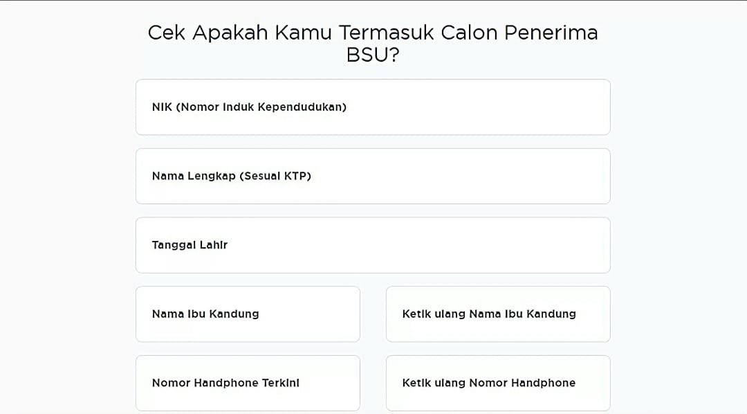 Formulir yang harus dilengkapi ketika cek BSU