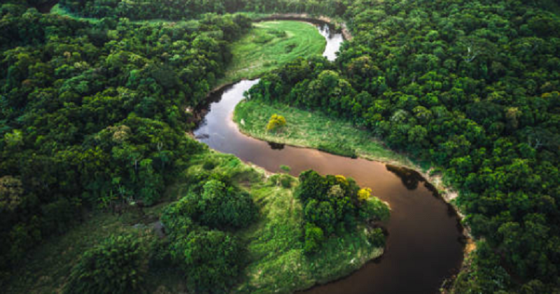 Hutan Amazon
