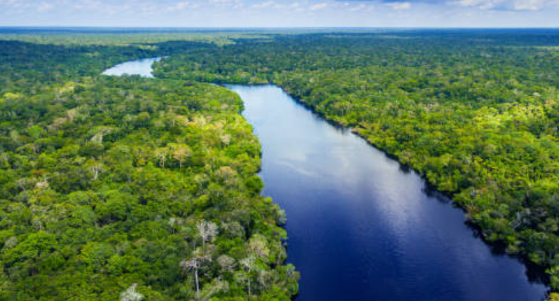 Hutan Amazon