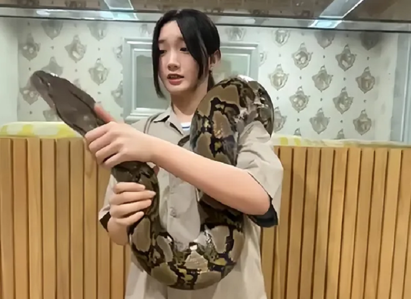 Delynn JKT48 yang live bareng ular besar