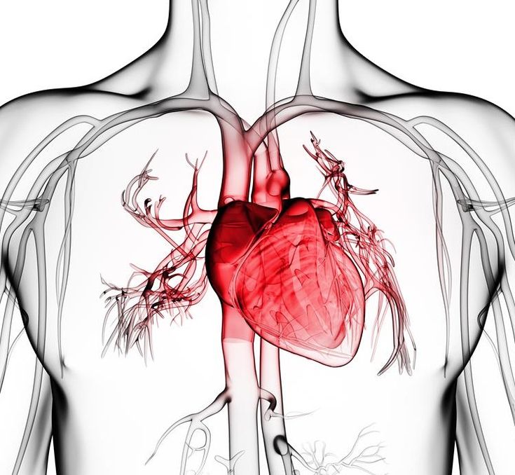 Gejala penyakit jantung bisa dilihat dari kulit