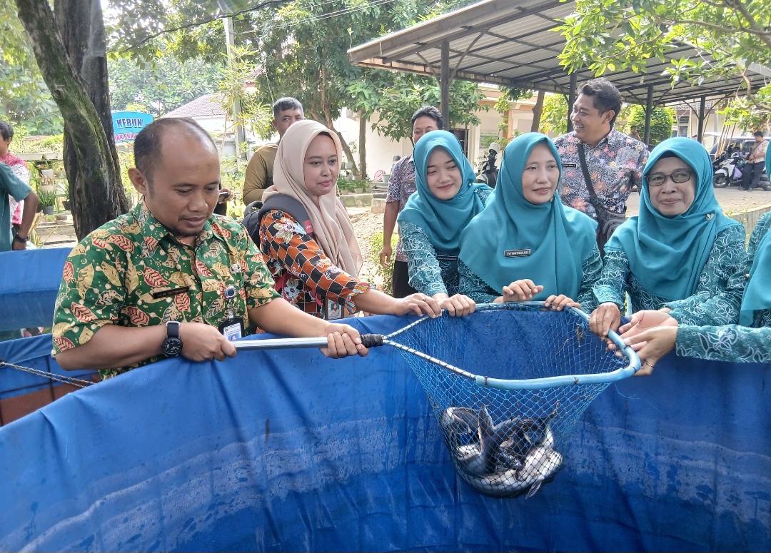 PANEN: Tim penggerak (TP) PKK Kabupaten Blora bersama Dinas Pangan Pertanian Peternakan Dan Perikanan (DP4) Blora saat memanen ikan patin di Taman PKK