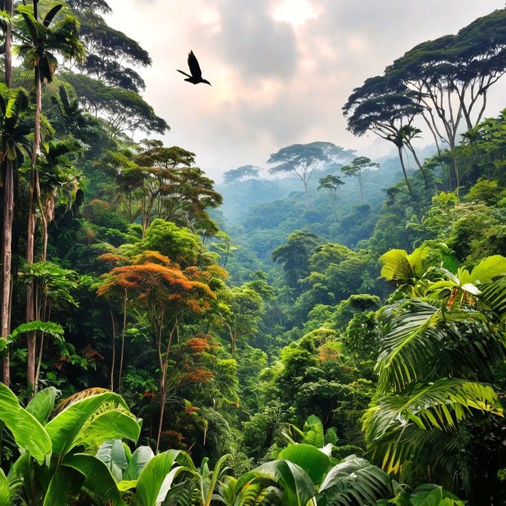 Forest bathing: detoks digital ala gen z yang tengah naik daun