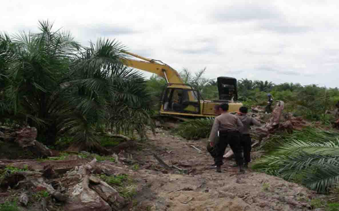 Pemulihan Ekosistem Taman Nasional Tesso Nilo, untuk hutan dan lahan yang berkelanjutan