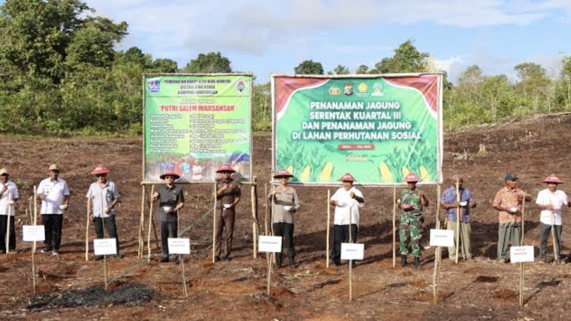 Penanaman jagung dengan polres biak