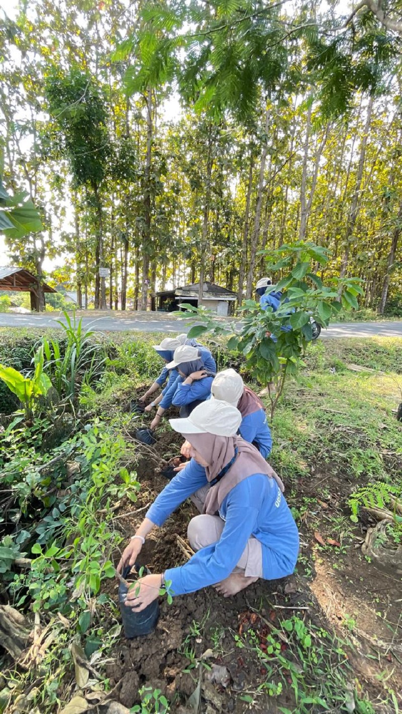 DIDUDUK: Masyarakat menanam pohon di kawasan Pegunungan Kendeng.
