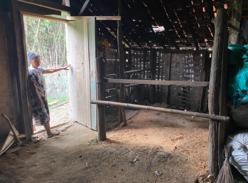 KORBAN TERNAK: Rumah Winarsih yang menjadi sapi ternak miliknya dibacok oleh IMH di Dukuh Kalisangku, Desa Gempolrejo, Tunjungan, Blora