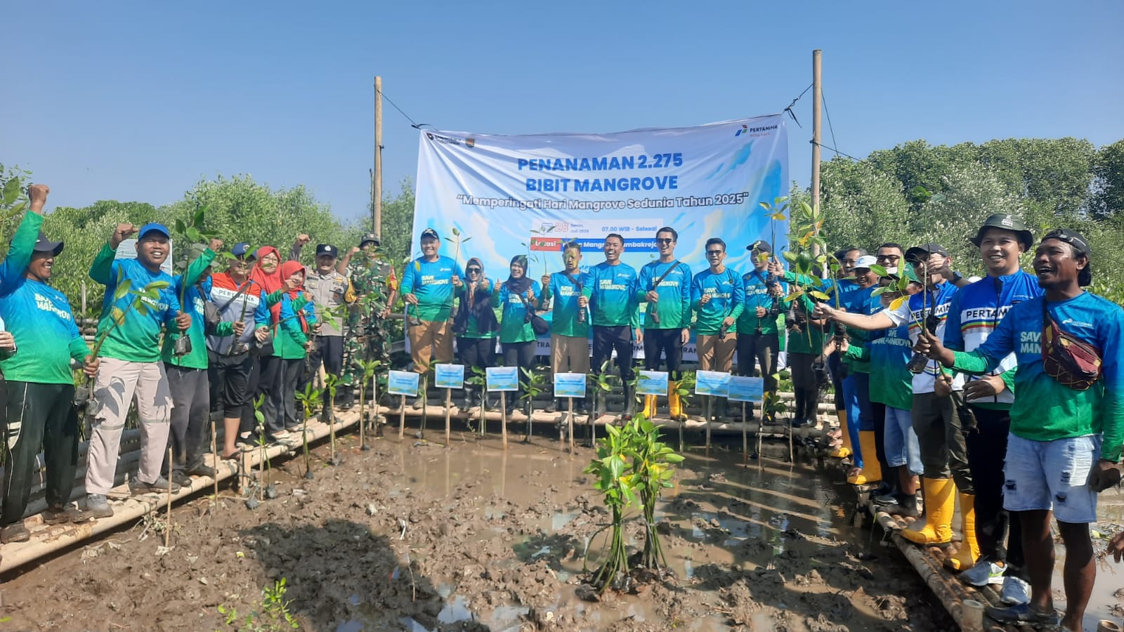 TANAM MANGROVE: Pertamina Patra Niaga bersama jajaran Desa Tambakrejo melakukan tanam mangrove bersama.
