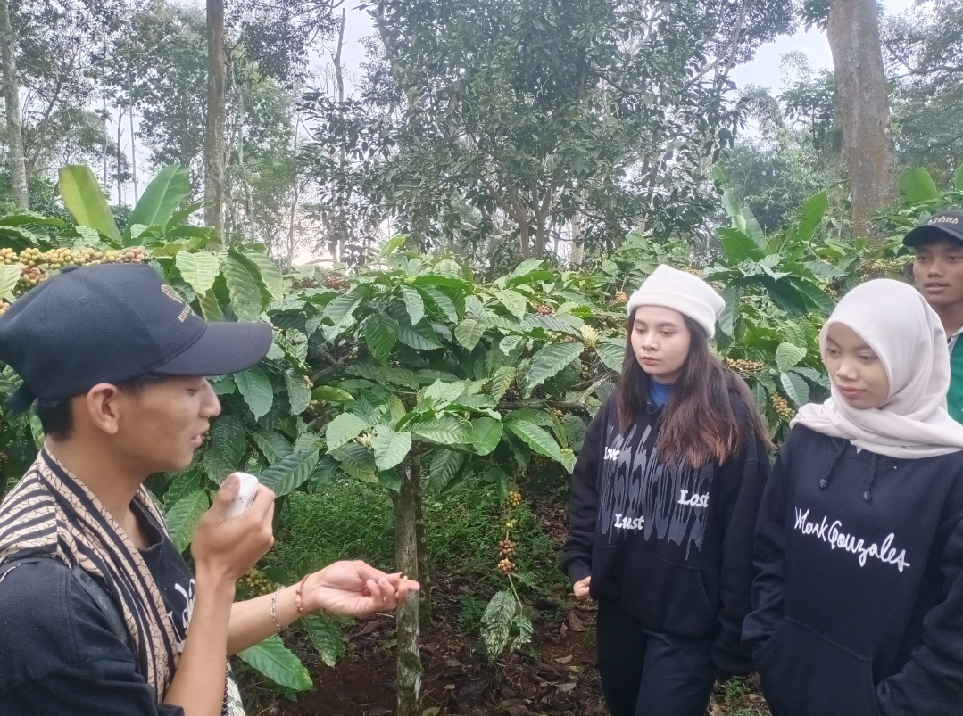 WAWASAN: Pemandu wisata menjelaskan proses penanaman kopi hingga panen kepada peserta, baru-baru ini. (ANDIKA TRISNA SAPUTRA/RADAR KUDUS)