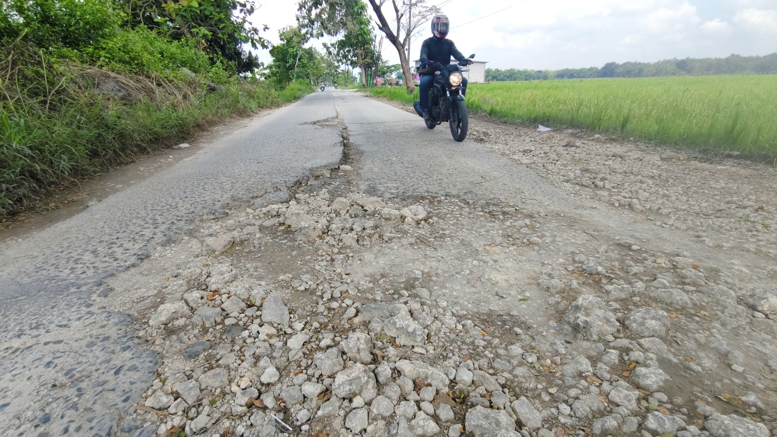 RUSAK PARAH &ndash; Jalan Tawangharjo &ndash; Tarub ke lokasi wisata religi Ki Ageng Tarub rusak berat dan sudah empat kali empat tahun dianggarkan gagal dibangun.