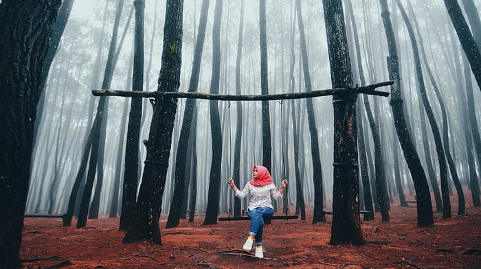 Hutan Pinus Mangunan
