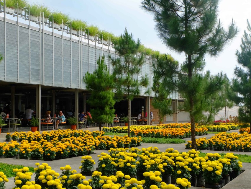 Rumah Atsiri Indonesia