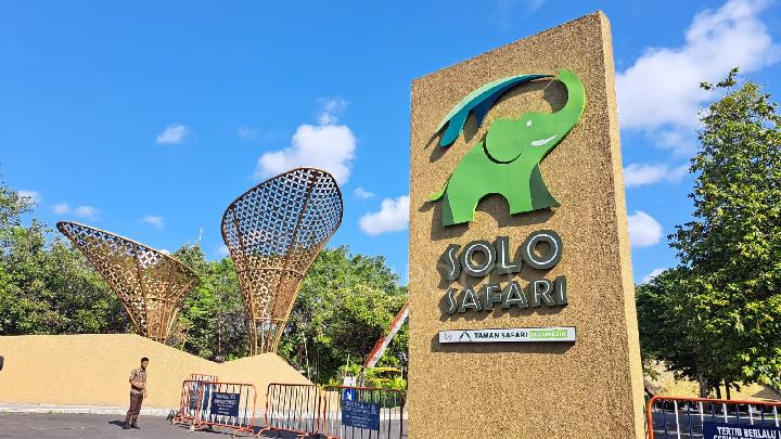Solo Safari