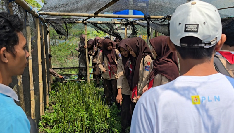 Siswi MAN  2 Jepara di Rumah Bibit untuk pembibitan pohon mangrove untuk nantinya akan dapat ditanam.