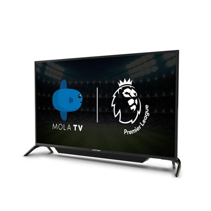 Polytron Smart TV 43AS1558