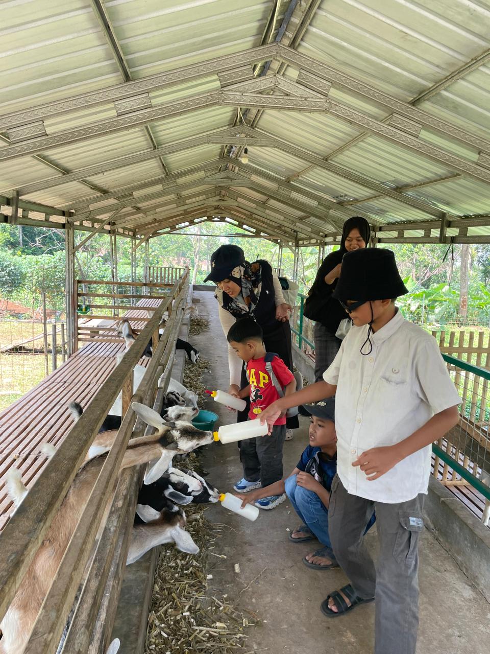 AJARKAN EDUKASI: Wisatawan memberi minum susu ke kambing di Haidar Farm, Desa Honggosoco.