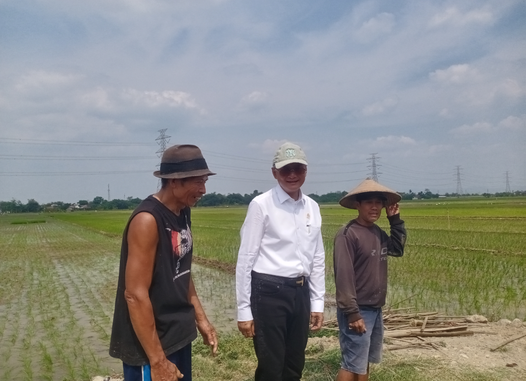 TINJAUAN: Menteri PU RI, Dody Hanggodo, meninjau persawahan di Desa Hadiwarno bersama petani, Sabtu (6/9). (ANDIKA TRISNA SAPUTRA/RADAR KUDUS)