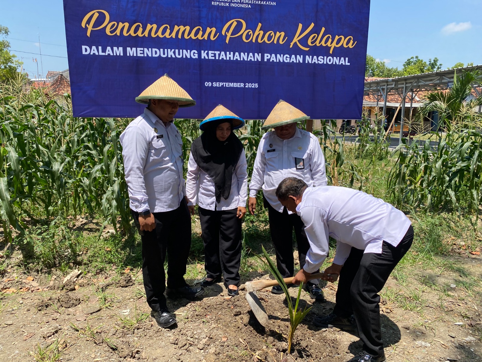 TANAM KELAPA &ndash; Lapas Kelas II B Purwodadi lakukan tanam pohon kelapa serentak  se Indonesia di lingkungan sekitar Lapas setempat.