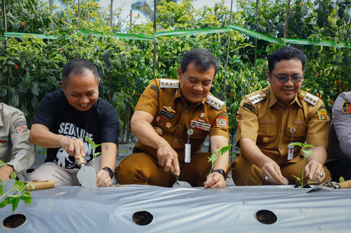Gubernur Jawa Tengah Ahmad Luthfi melakukan penanaman cabai di&nbsp;acara Gerakan Petani Peduli Inflasi Komoditas Cabai Jawa Tengah Desa Banyusidi, Kecamatan Pakis, Kabupaten Magelang, Senin (22/9).