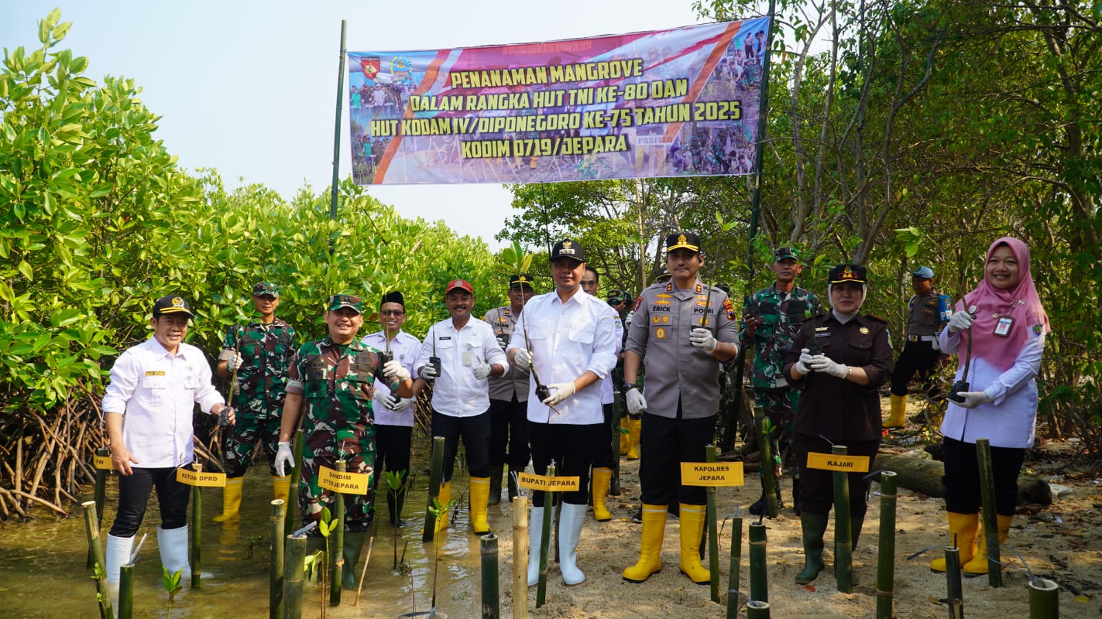 CINTA ALAM: Kegiatan tanam mangrove dalam rangka HUT TNI di Jepara.