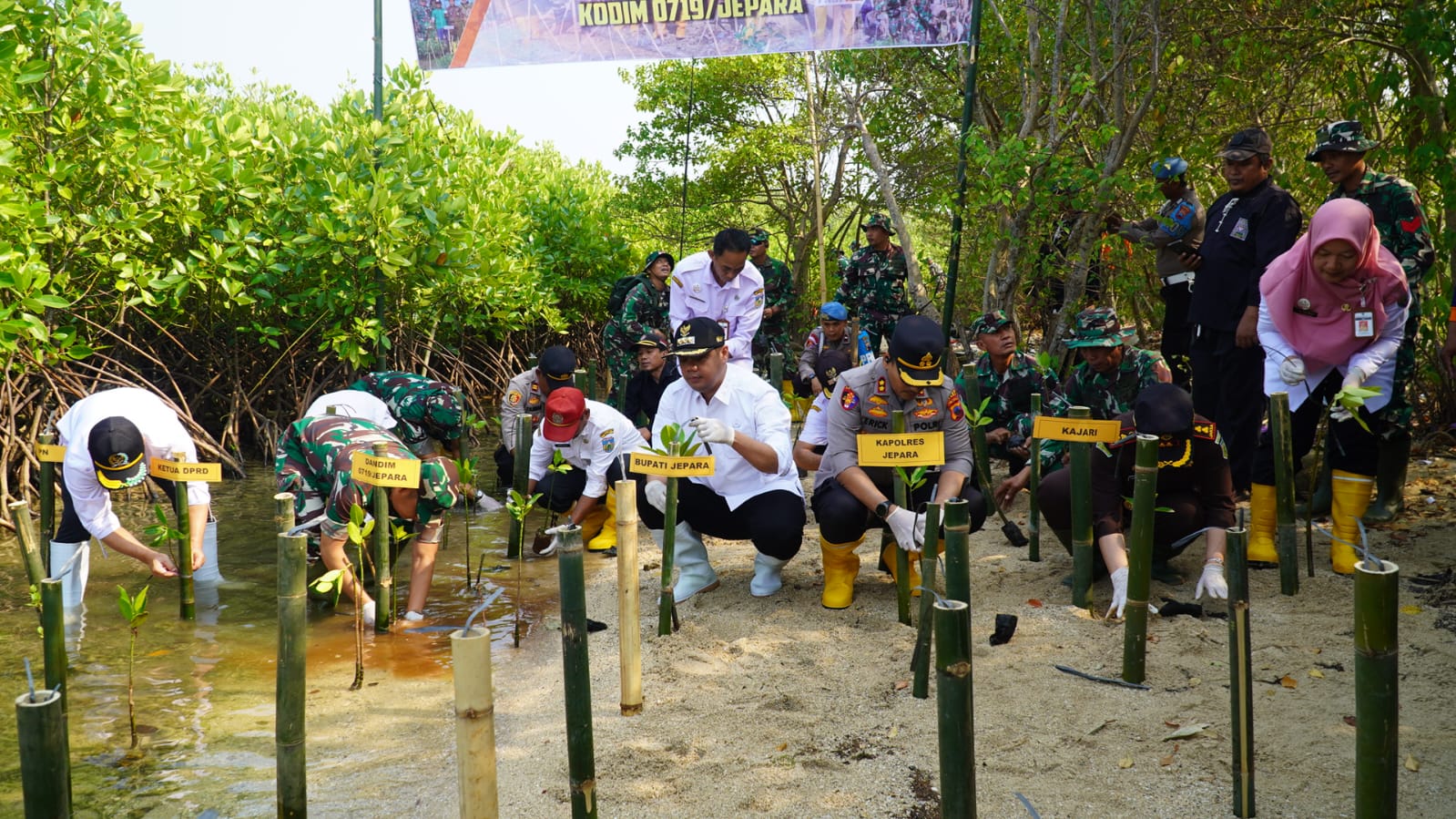 CEGAH: Penanaman mangrove salah satu pencegahan abrasi, di samping itu pemkab juga akan menyiapkan seawall