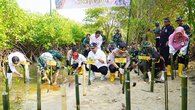 SINERGIS: Forkopimda melakukan penanaman mangrove di Pantai Mororejo, Mlonggo pada Rabu (24/9) lalu.(PEMKAB JEPARA UNTUK RADAR KUDUS)