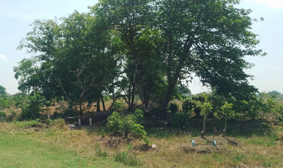 TERDAMPAK: Kondisi makam yang berada di Dukuh Karangturi, Desa Setrokalangan.&nbsp;
