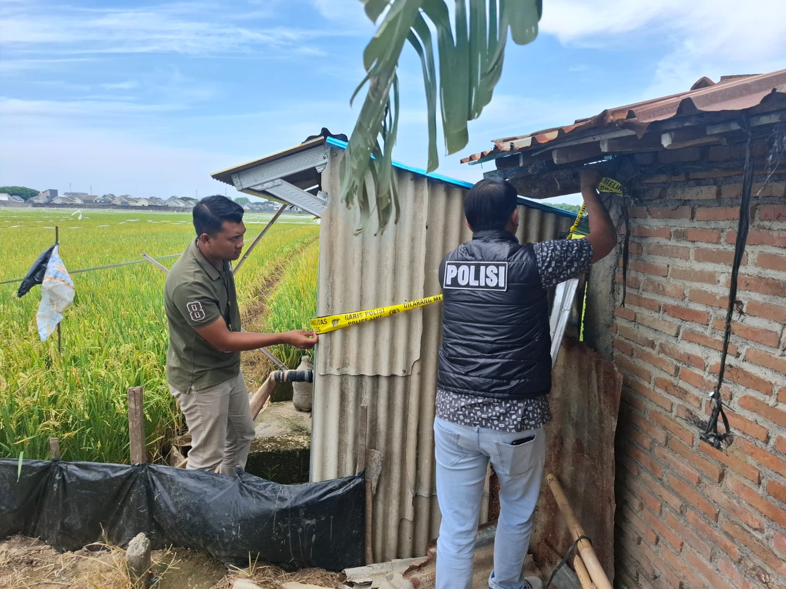 DITINDAKLANJUTI: Polisi memasang garis polisi di area persawahan di area Desa Gamong.