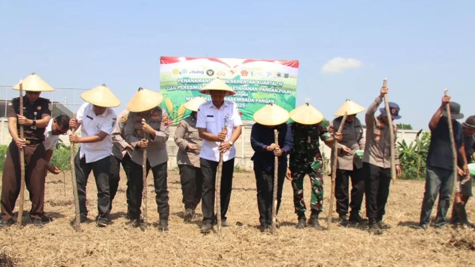 Turun ke Sawah Tanam Jagung Bersama Petani