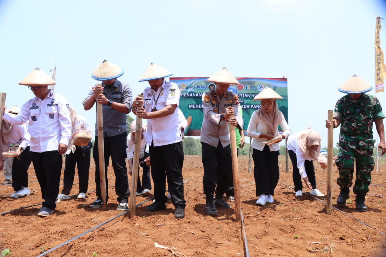 Polres Jepara Dukung Swasembada Pangan, Gelar Penanaman Jagung Serentak Kuartal IV di Desa Kancilan
