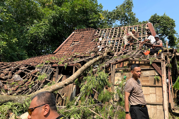 GOTONG ROYONG: Anggota BPBD Grobogan bersama warga Desa Jatipecaron, Gubug melakukan gotong royong membersihkan rumah terkena pohon roboh.