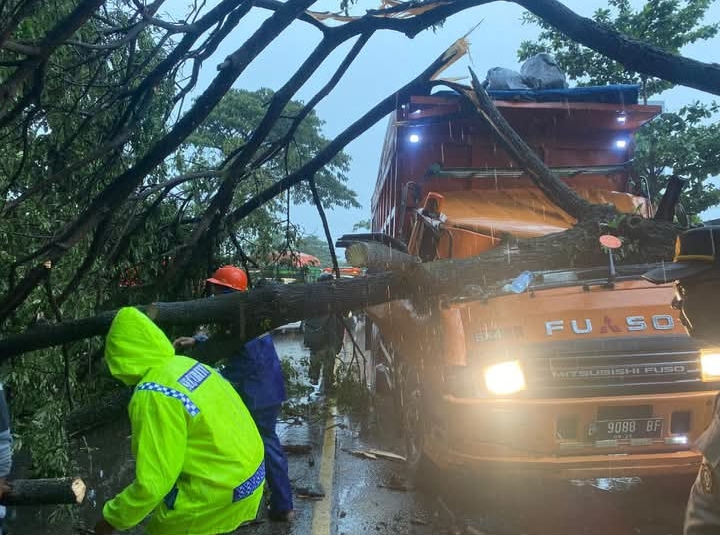 petugas dan BPBD serta warga mengevakuasi pohon tumbang di Pladan, Jekulo, Kudus, Jumat, 24 Oktober 2025.