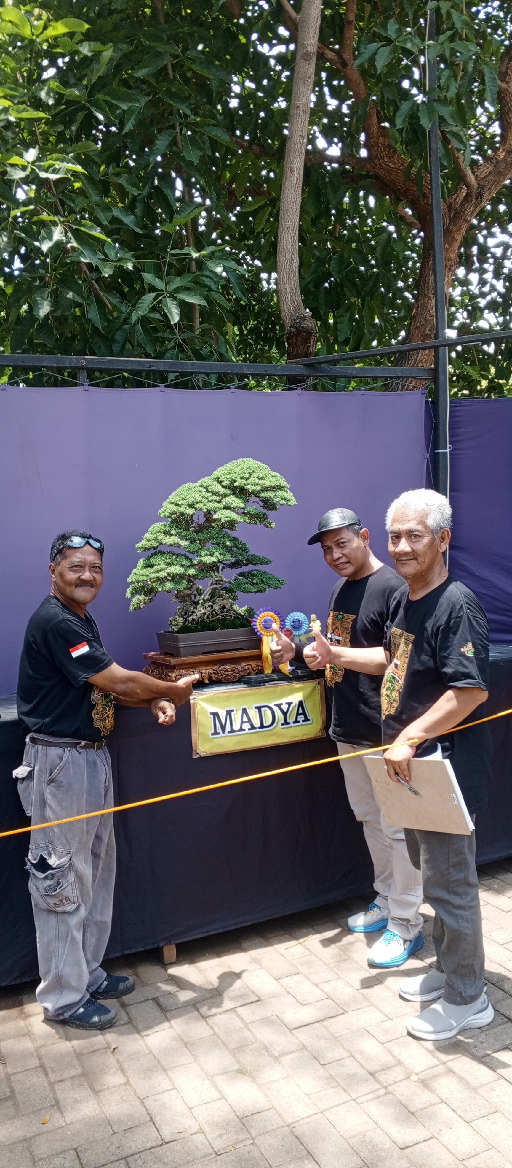 INDAH: Bonsai santigi milik Gunawan asal Kabupaten Rembang, Jateng, meraih gelar best in show di Kontes dan Pameran Bonsai Nasional Kudus 2025.