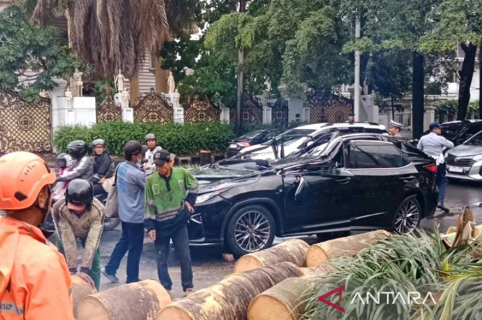 Sejumlah petugas saat mengevakuasi pohon tumbang yang menimpa mobil Lexus di kawasan Pndok Indah, Jakarta, Minggu (26/10/2025).