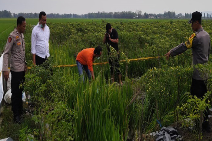 OLAH TKP: Anggota Polsek Penawangan melakukan olah TKP orang yang terkena setrum di sawah di Desa Winong, Kecamatan Penawangan.