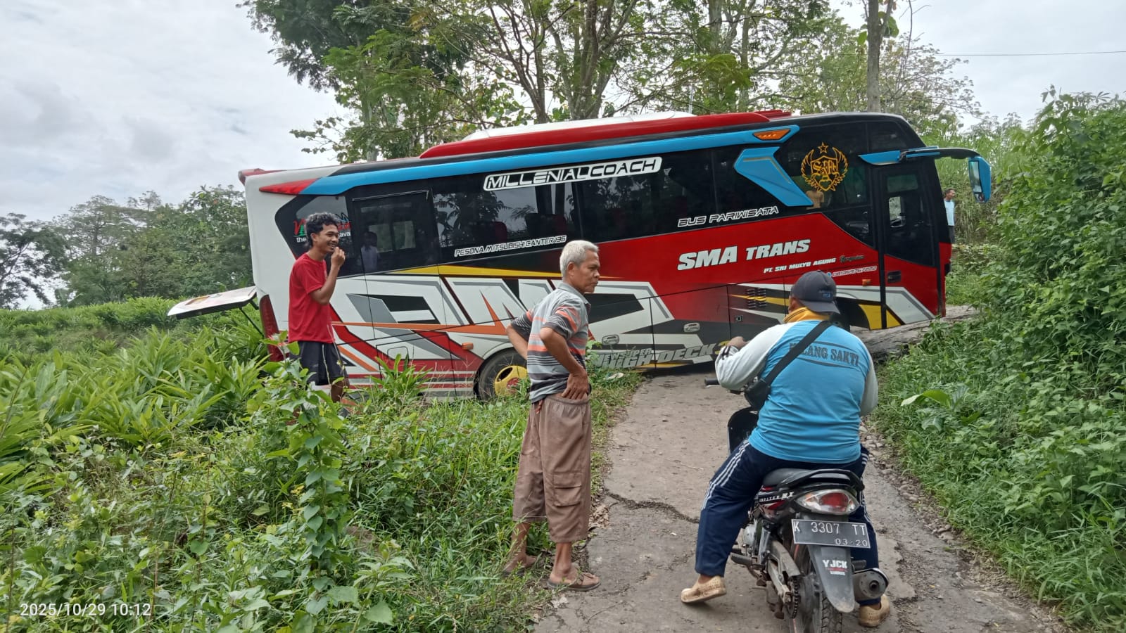 NYUNGSEP: Bus peziarah nyasar di area persawahan Desa Plukaran, Gembong pada Rabu (29/10).