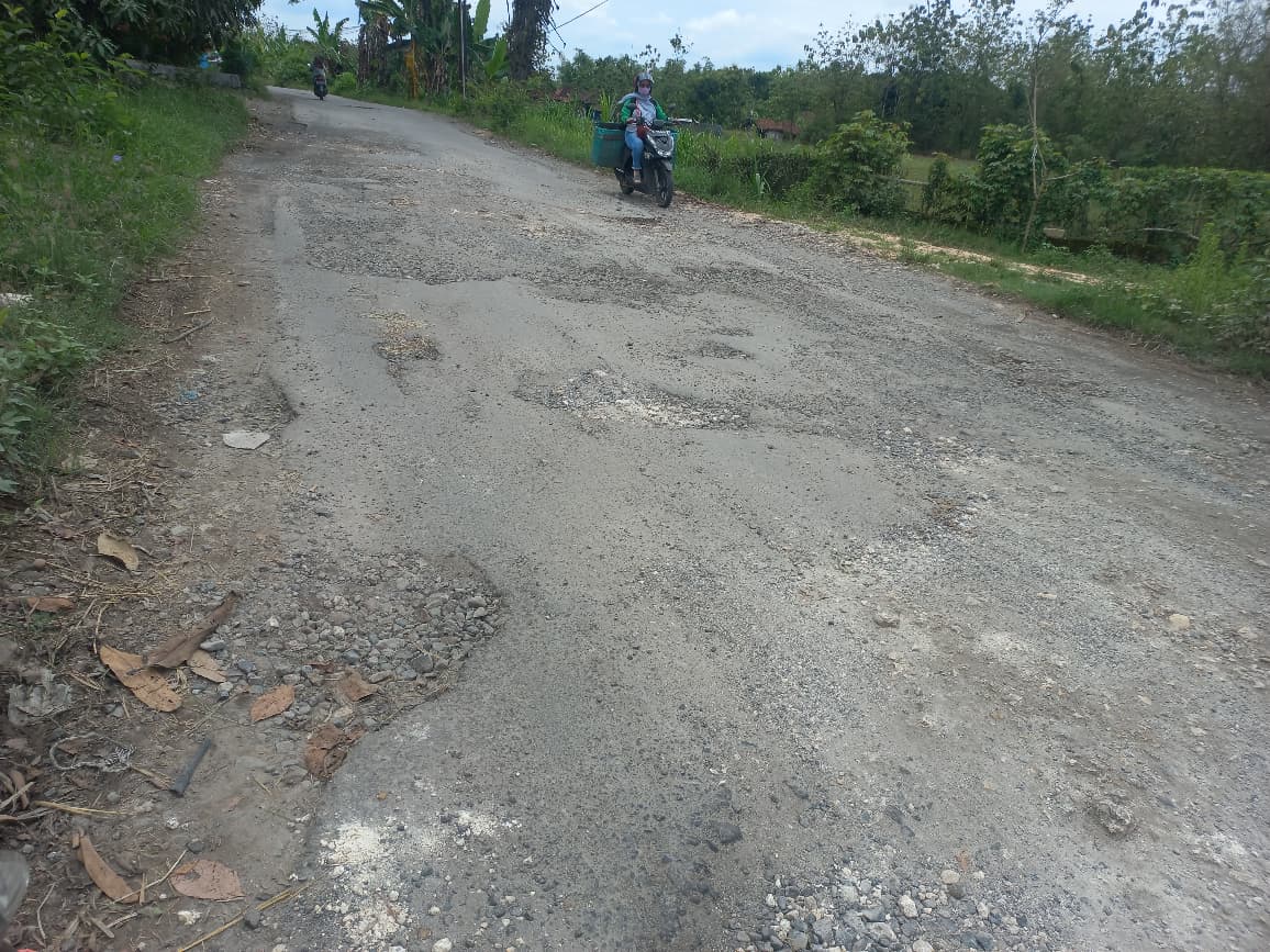 HINDARI LUBANG: Pemotor menghindari lubang jalan di perbatasan di Dukuh Kelampok, Desa Sekarsari, Kecamatan Sumber, Rembang menuju ke Jaken, Pati.