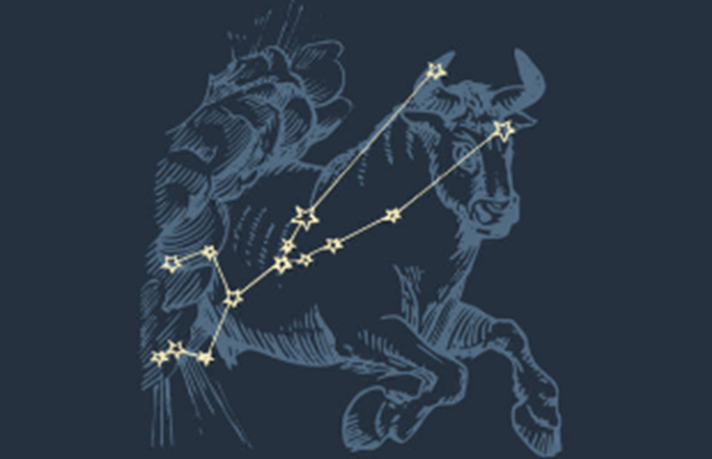 Zodiak Taurus