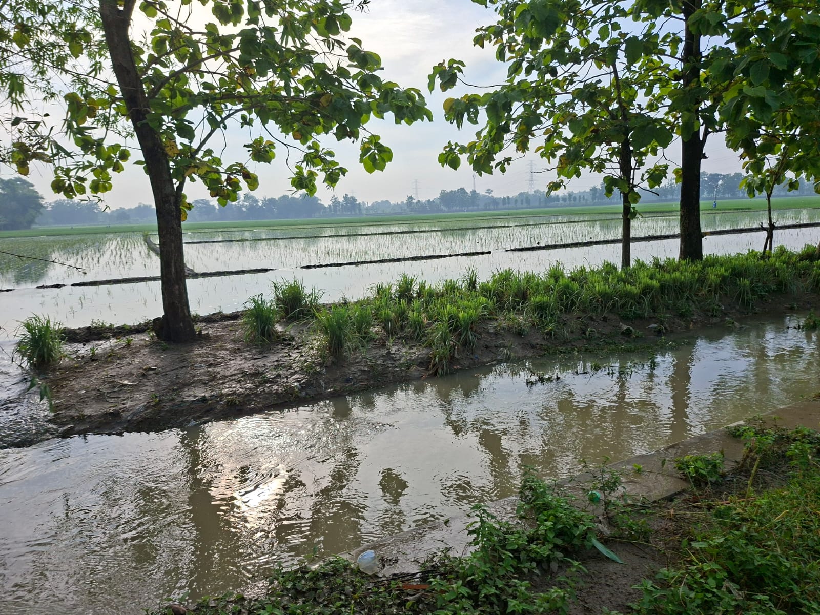 MENGGENANG: Air yang masuk ke persawahan akibat jebolnya tanggul Sungai Jajar.